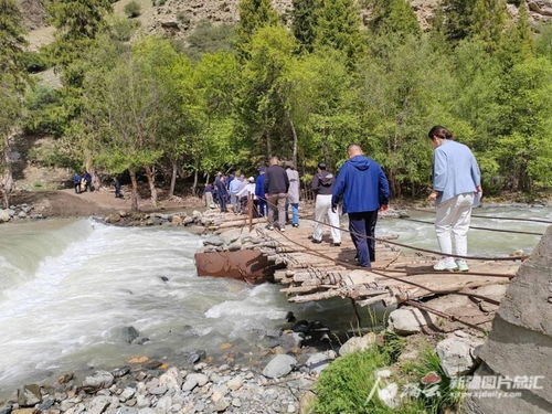 昭蘇縣濕地生態保護成效顯著，動植物種群數量穩步擴大